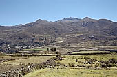 The Colca Valley is one of the most intensively terraced regions in the Andes 